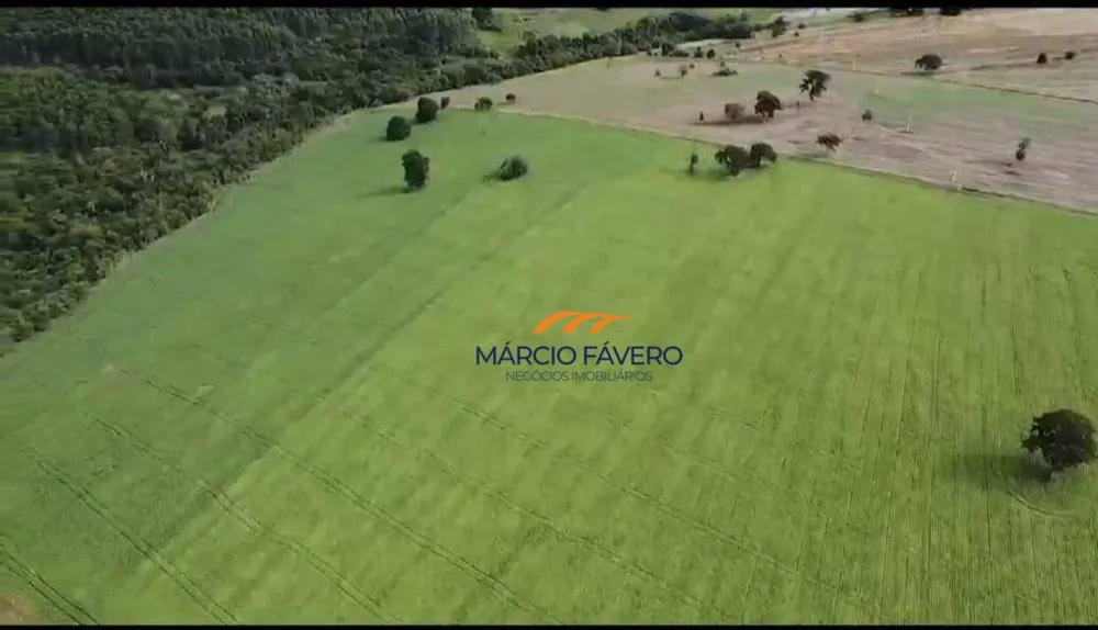 Sítio, 70 hectares - Foto 1