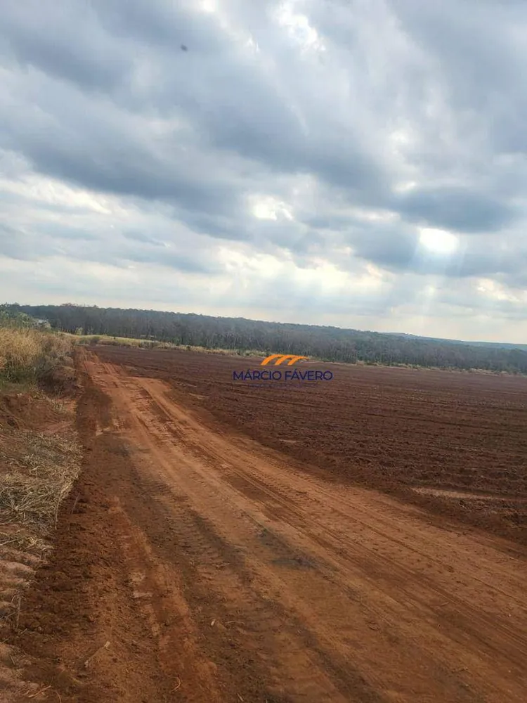 Fazenda, 121 hectares - Foto 1