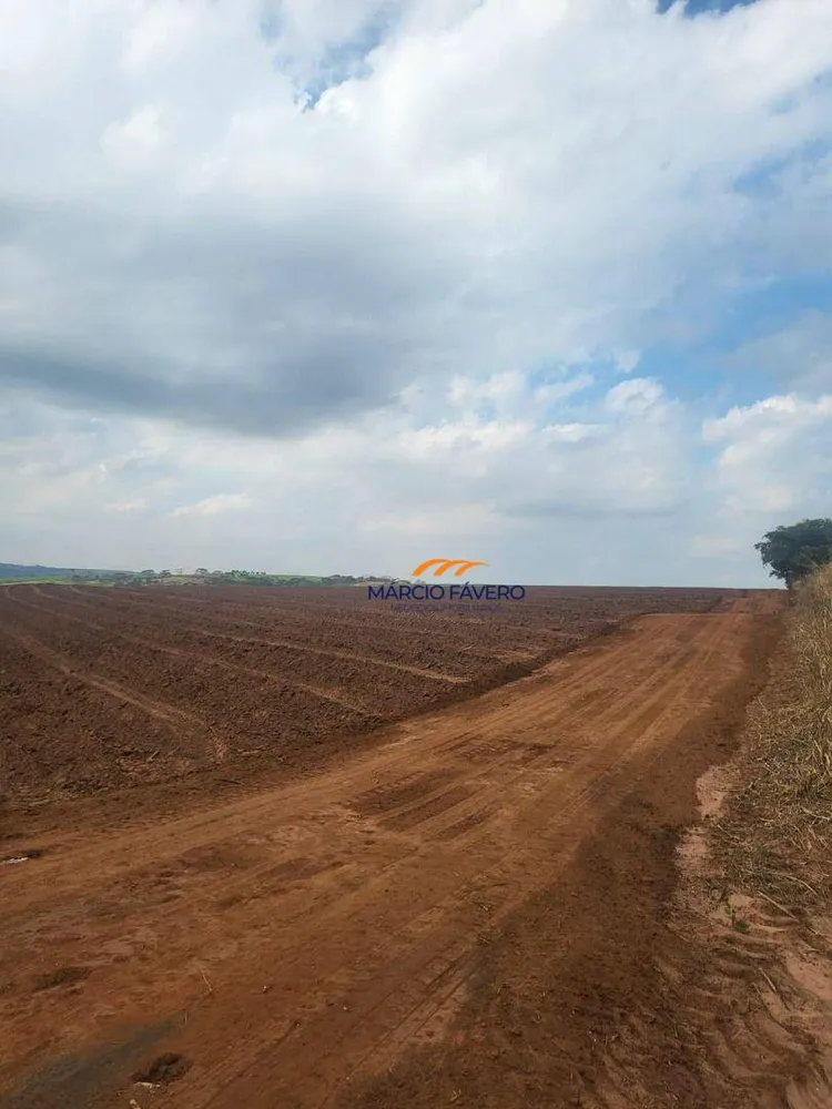 Fazenda, 121 hectares - Foto 4