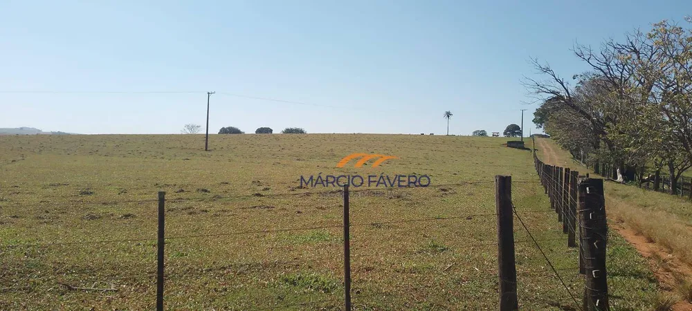 Fazenda, 135 hectares - Foto 1