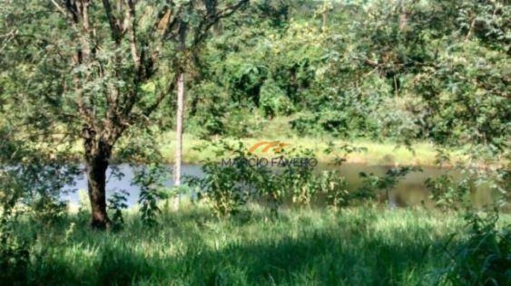 Fazenda, 135 hectares - Foto 2