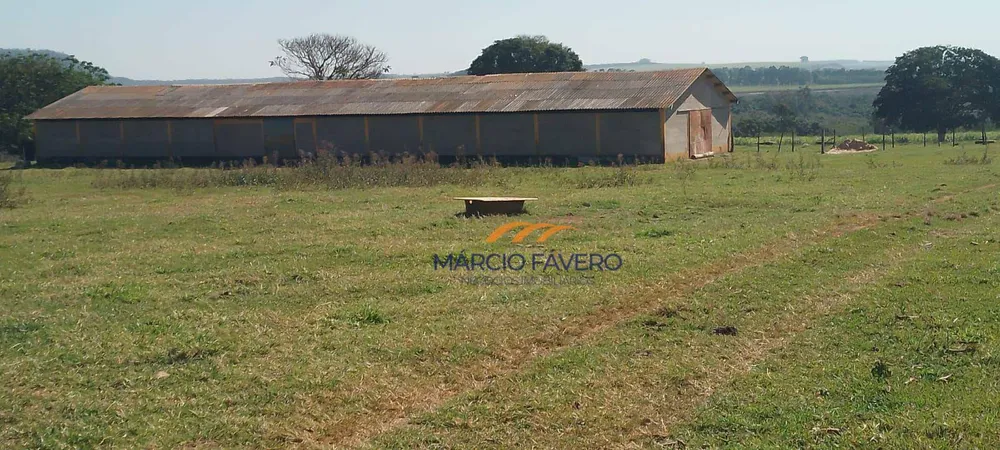 Fazenda, 135 hectares - Foto 2