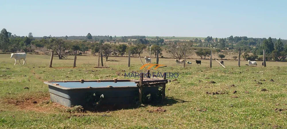 Fazenda, 135 hectares - Foto 3