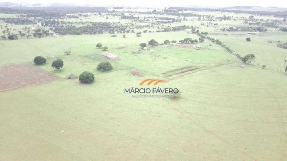 Fazenda, 135 hectares - Foto 2