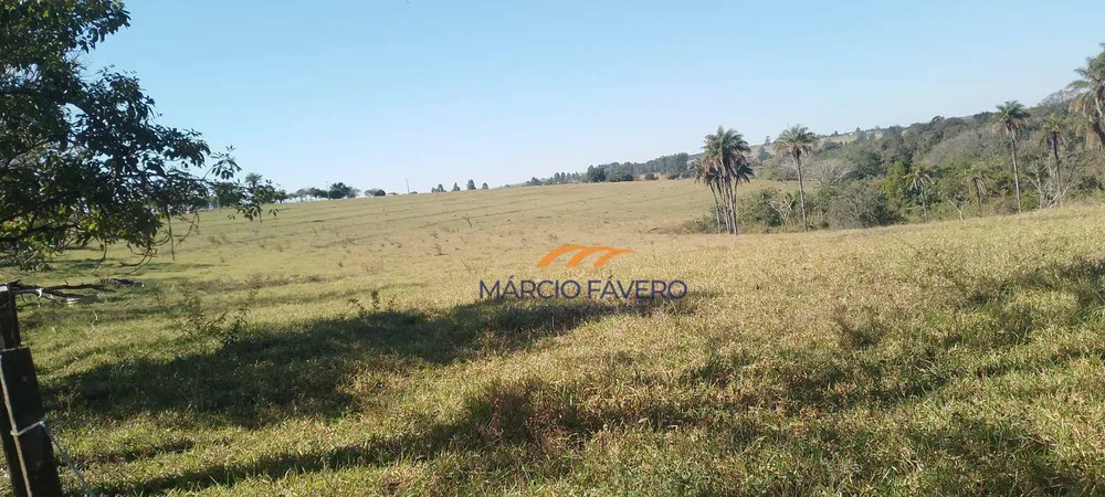 Fazenda, 135 hectares - Foto 6