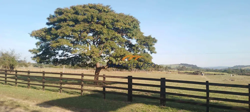 Fazenda, 135 hectares - Foto 5
