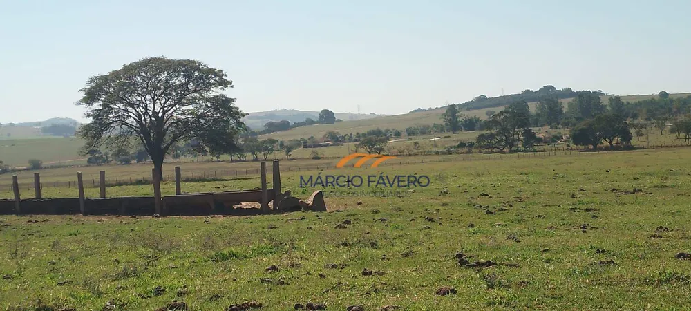 Fazenda, 135 hectares - Foto 7