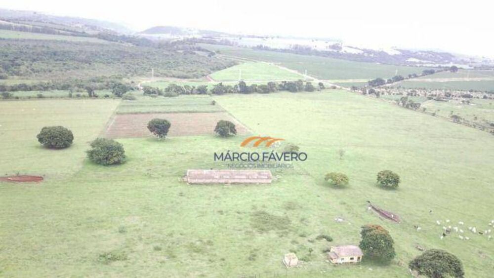 Fazenda, 135 hectares - Foto 4