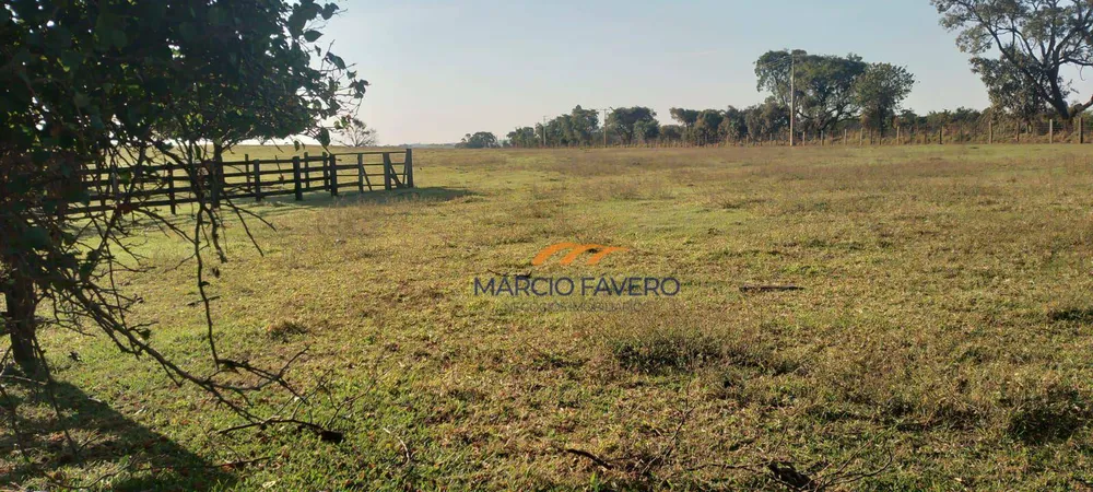 Fazenda, 135 hectares - Foto 4