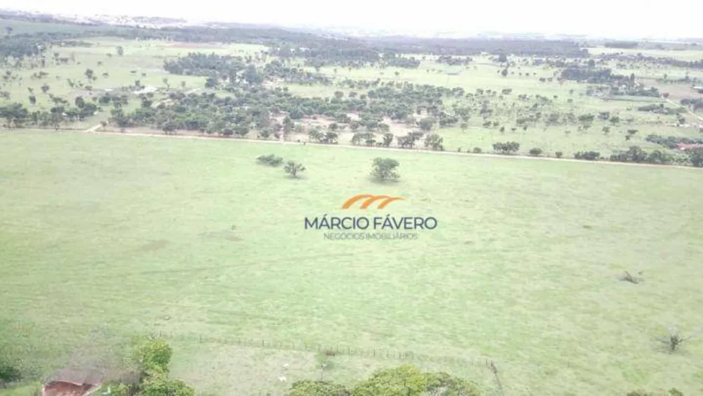 Fazenda, 135 hectares - Foto 8