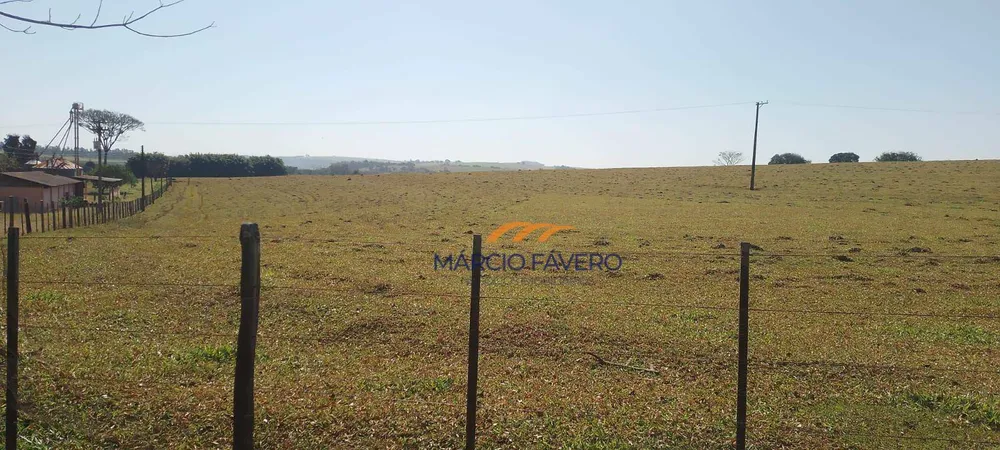 Fazenda, 135 hectares - Foto 13