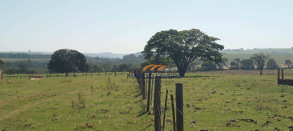Fazenda, 135 hectares - Foto 3