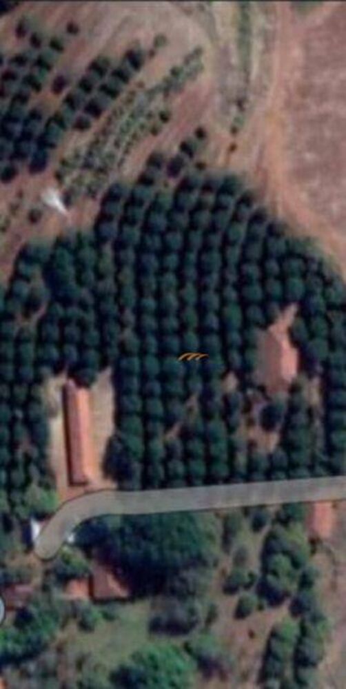 Fazenda, 226 hectares - Foto 3