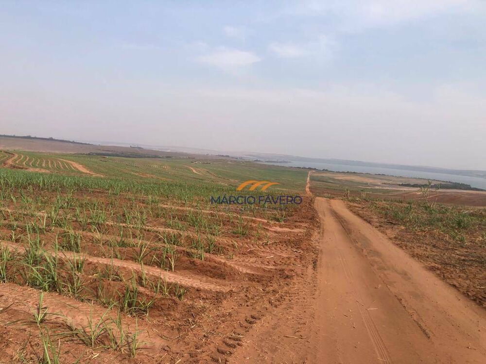 Fazenda, 346 hectares - Foto 1