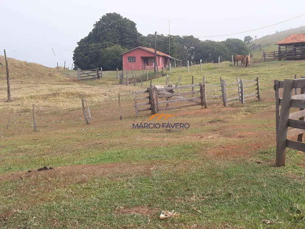 Fazenda, 489 hectares - Foto 5