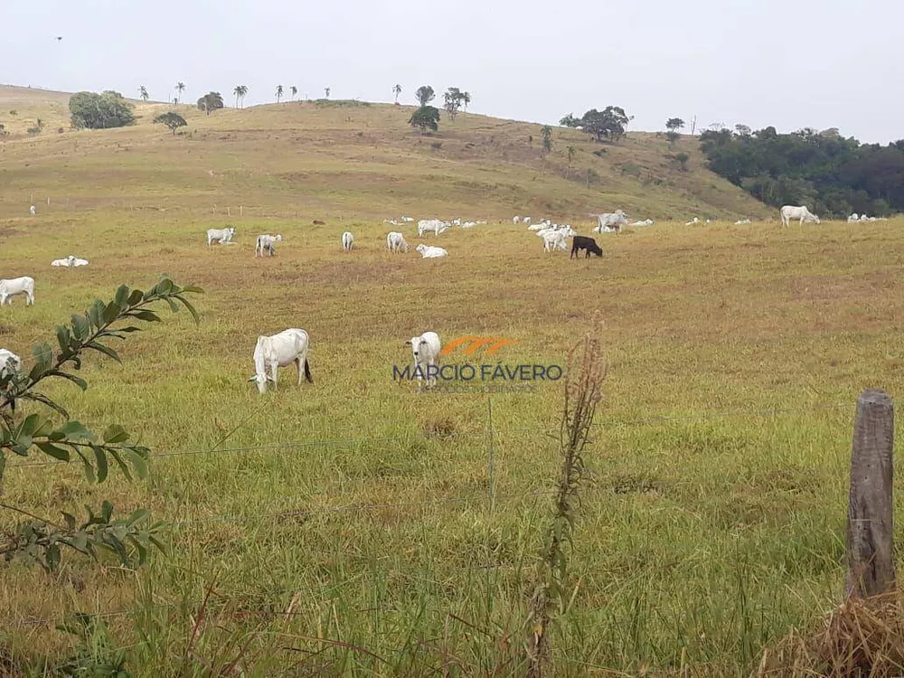 Fazenda, 489 hectares - Foto 2