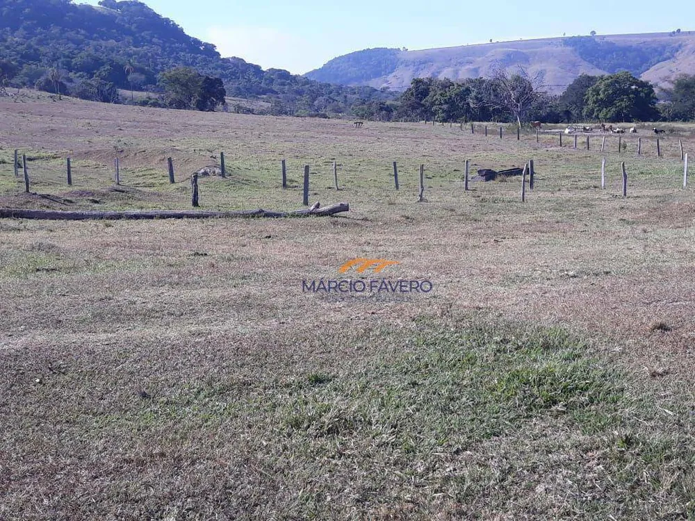 Fazenda, 489 hectares - Foto 7