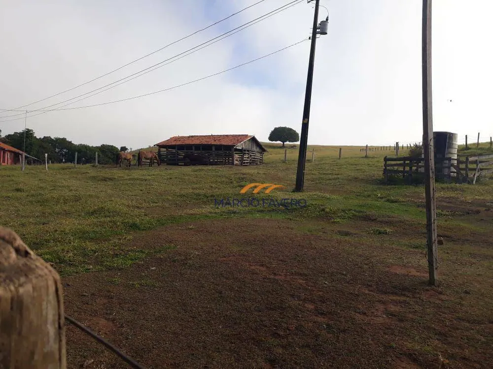Fazenda, 489 hectares - Foto 8