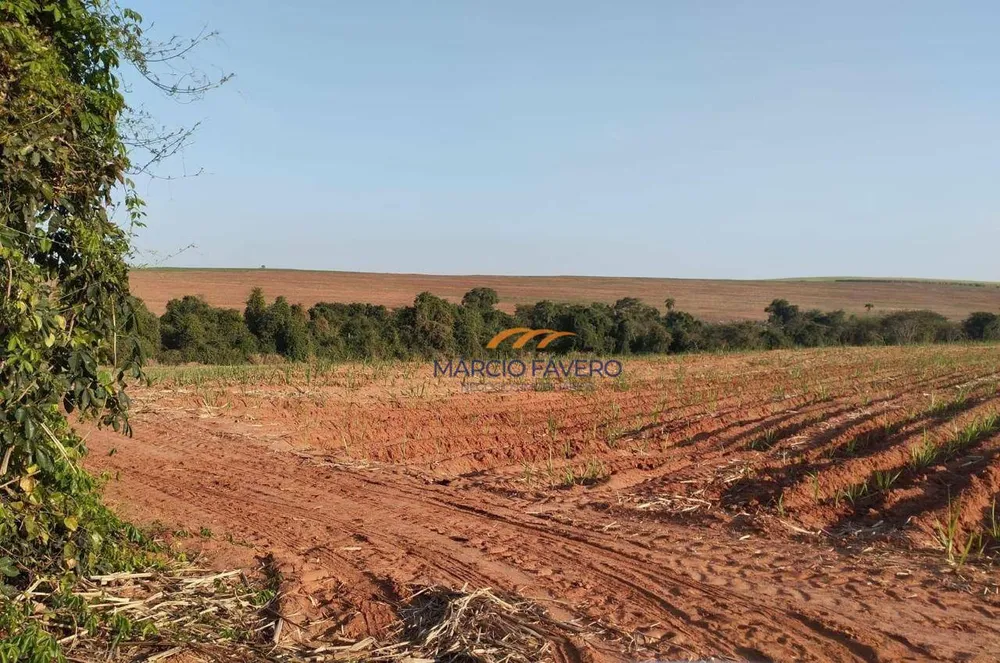 Fazenda, 283 hectares - Foto 15