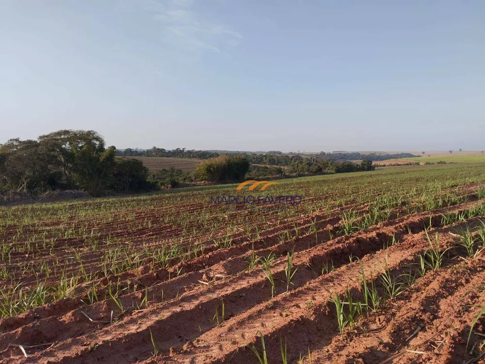 Fazenda, 283 hectares - Foto 7