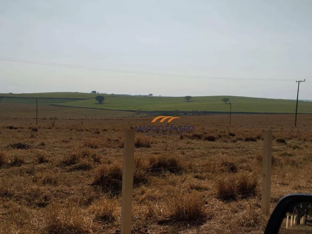 Fazenda, 283 hectares - Foto 1