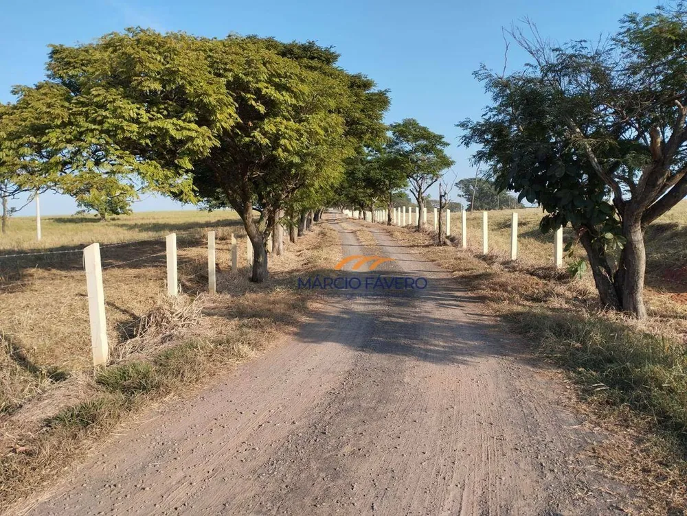 Fazenda, 283 hectares - Foto 2