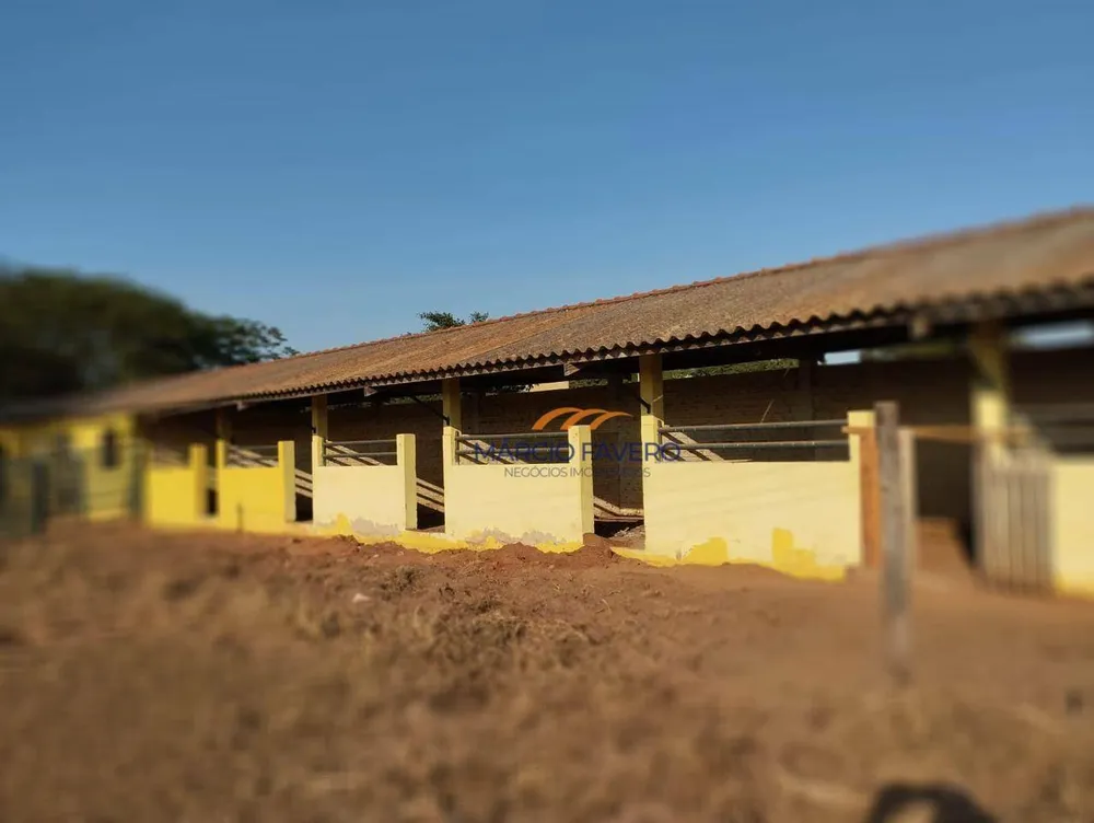 Fazenda, 283 hectares - Foto 6