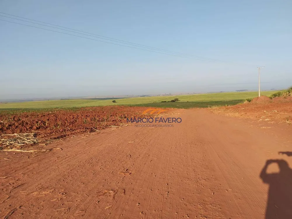 Fazenda, 283 hectares - Foto 13