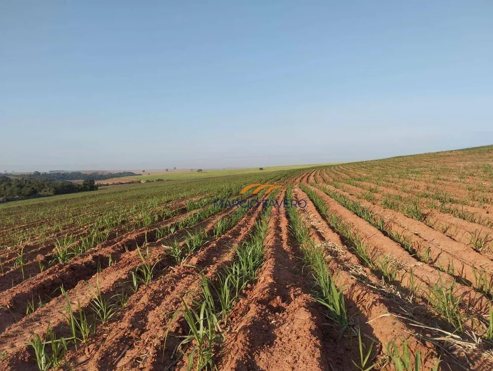 Fazenda, 283 hectares - Foto 16