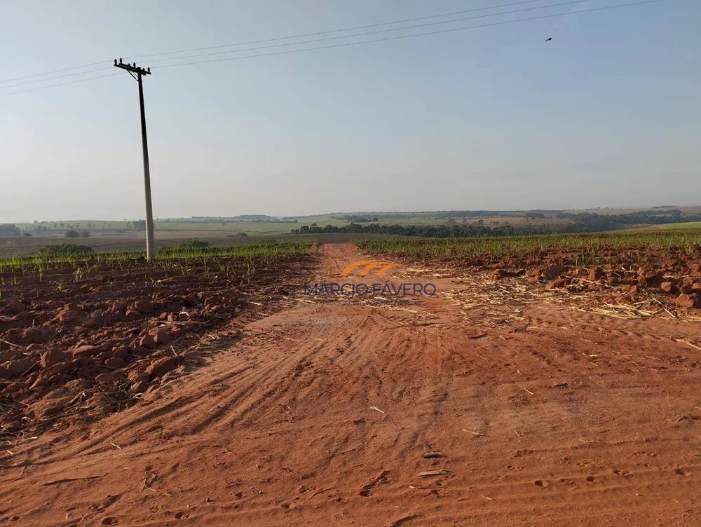 Fazenda, 283 hectares - Foto 6