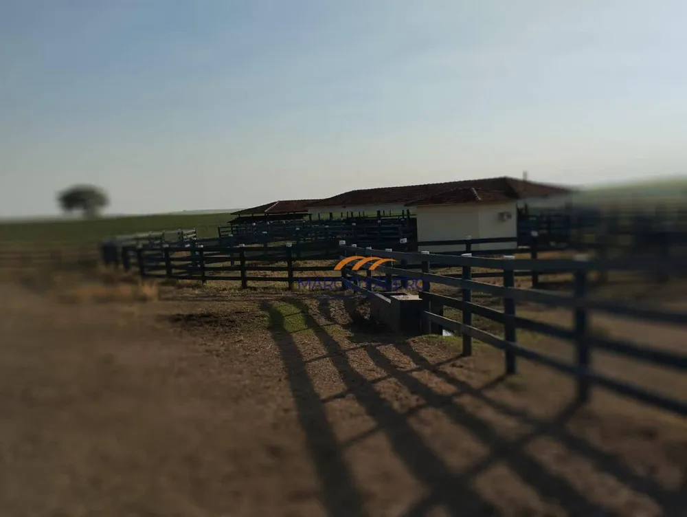 Fazenda, 283 hectares - Foto 7