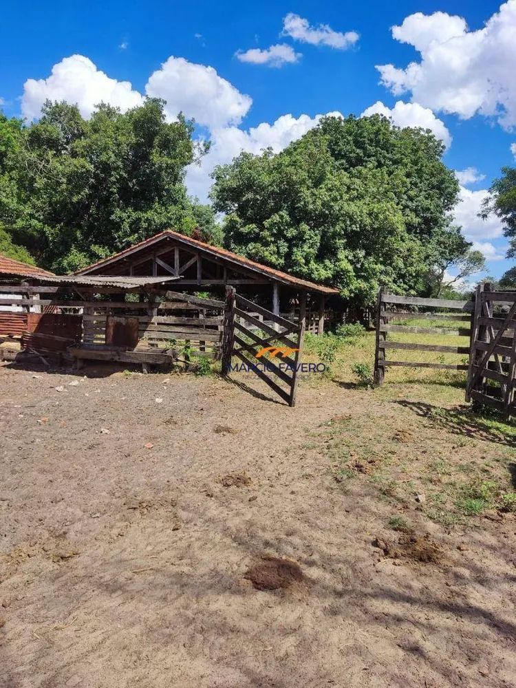 Fazenda, 68 hectares - Foto 1
