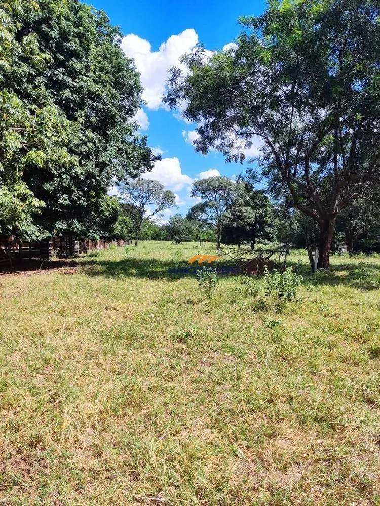 Fazenda, 68 hectares - Foto 3