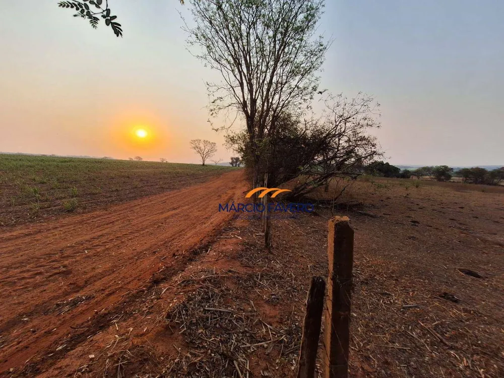 Fazenda, 68 hectares - Foto 5