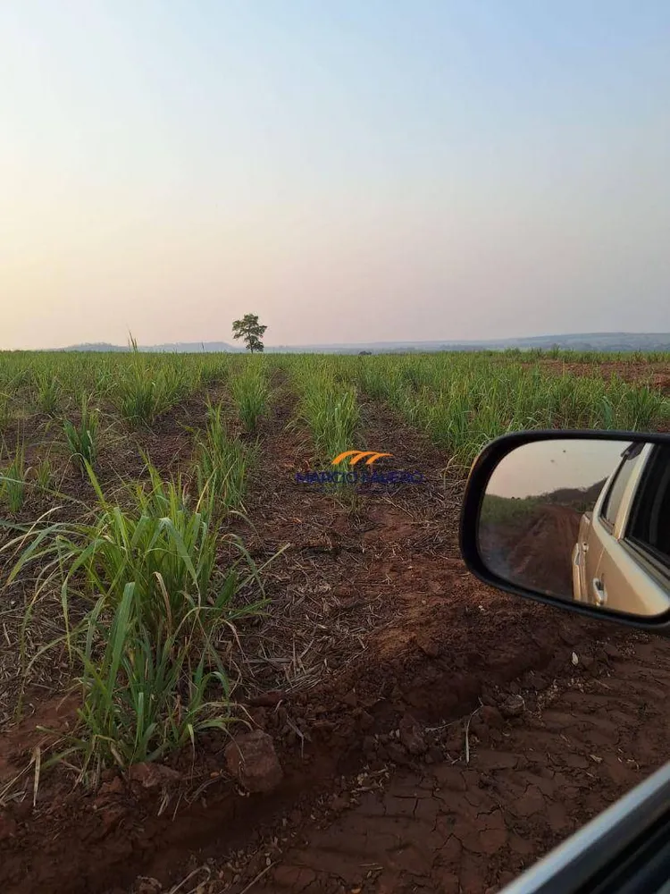 Fazenda, 68 hectares - Foto 12