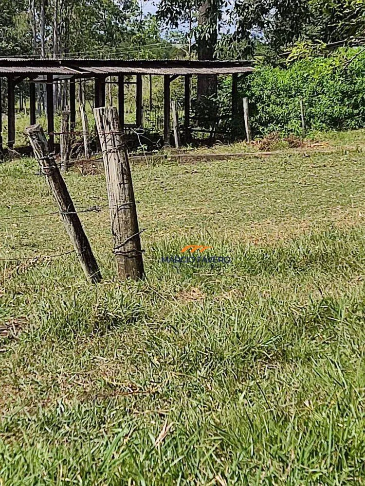 Fazenda, 68 hectares - Foto 7