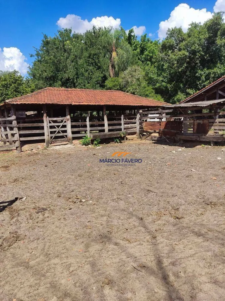 Fazenda, 68 hectares - Foto 7