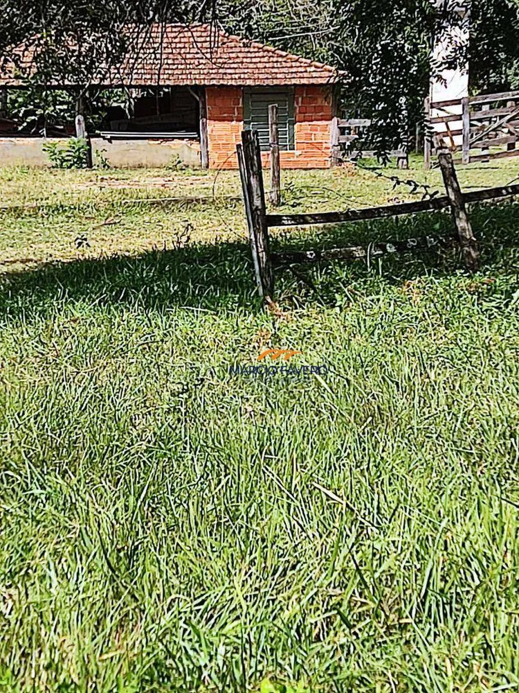 Fazenda, 68 hectares - Foto 6