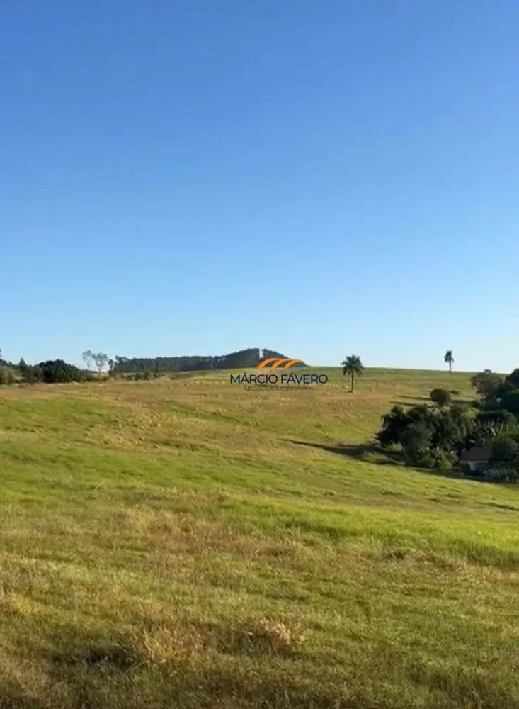 Fazenda, 315 hectares - Foto 3