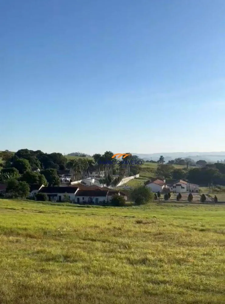 Fazenda, 315 hectares - Foto 4