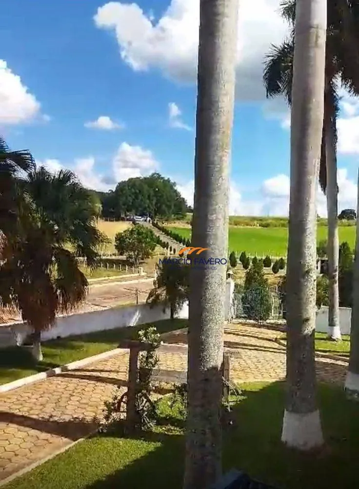 Fazenda, 315 hectares - Foto 7