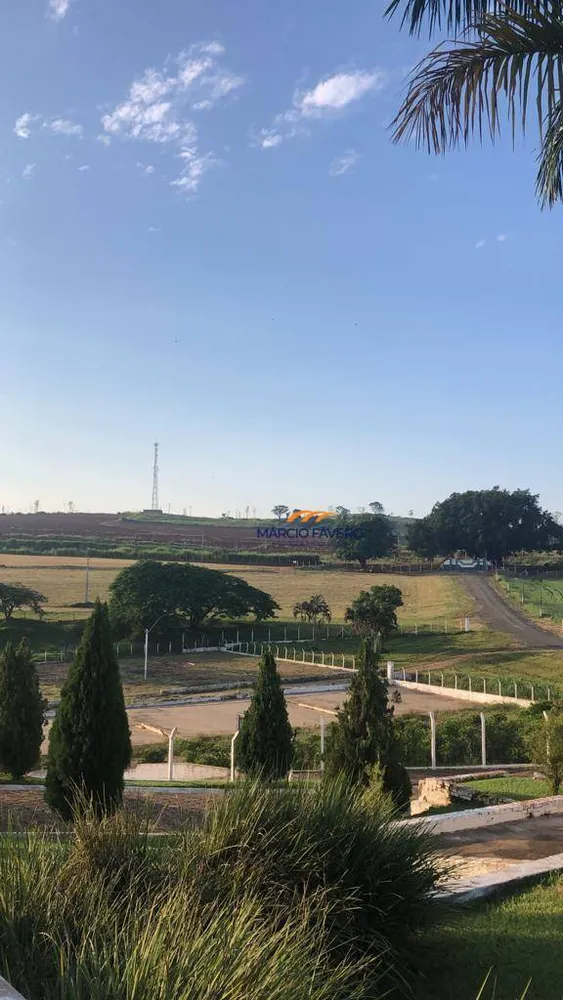 Fazenda, 315 hectares - Foto 11