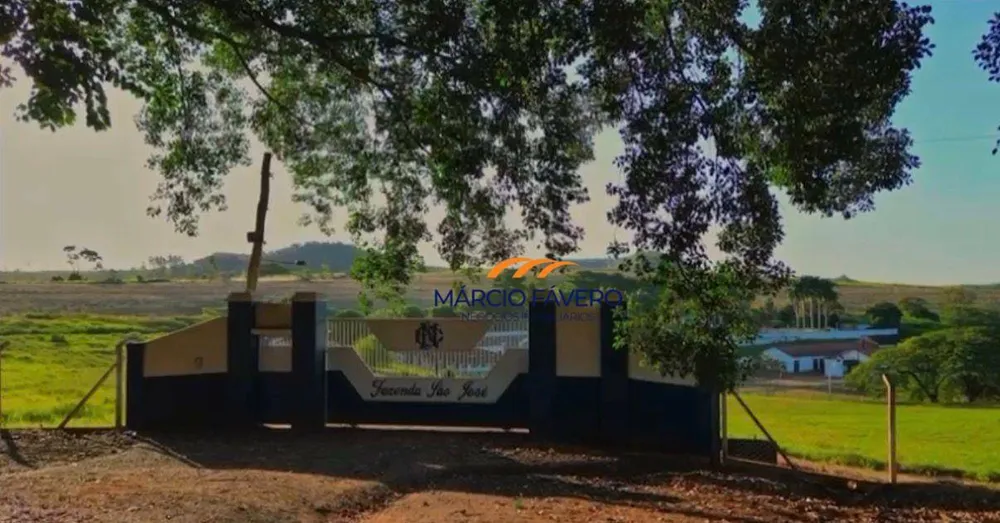 Fazenda, 315 hectares - Foto 10