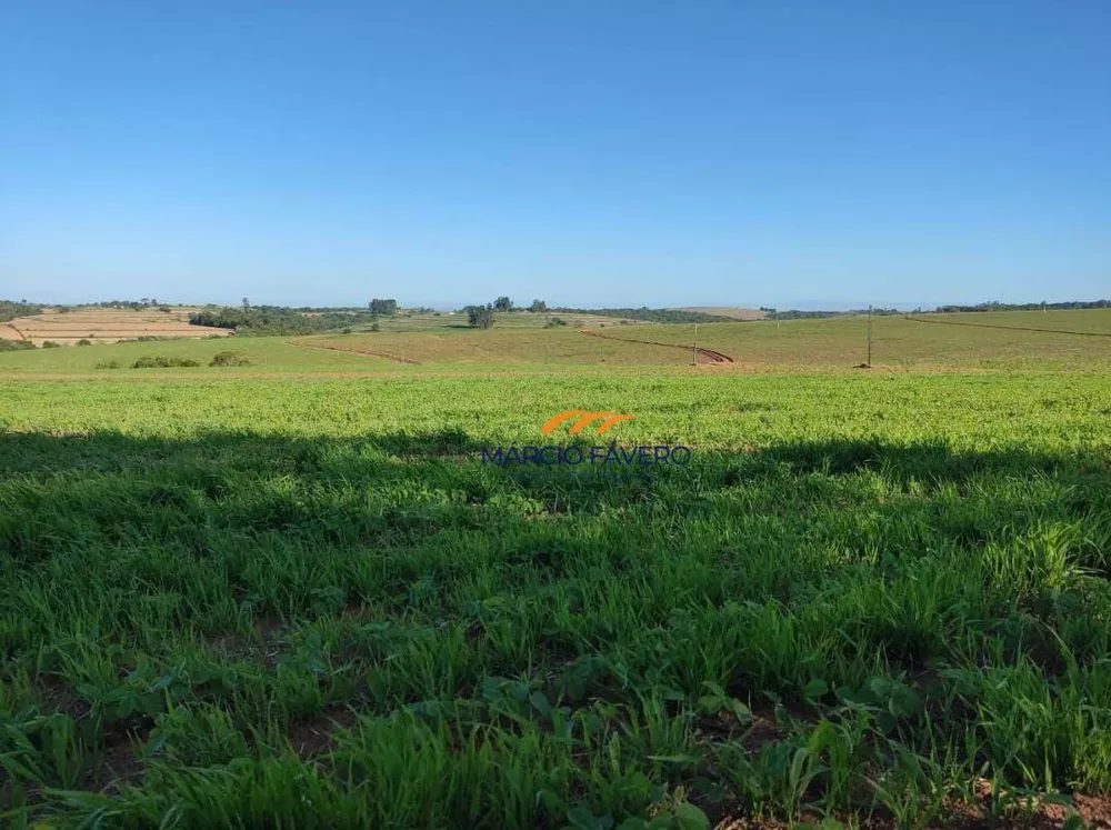 Fazenda, 341 hectares - Foto 3