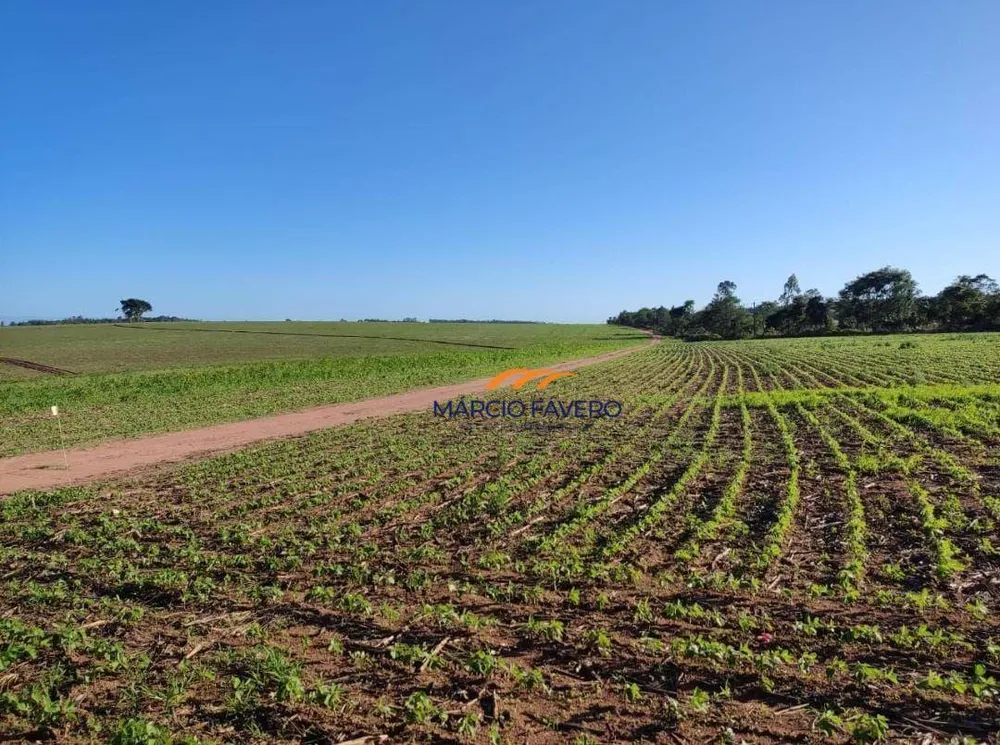 Fazenda, 341 hectares - Foto 2