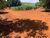 Sítio, 24 hectares - Foto 1