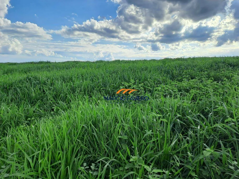 Fazenda, 571 hectares - Foto 10