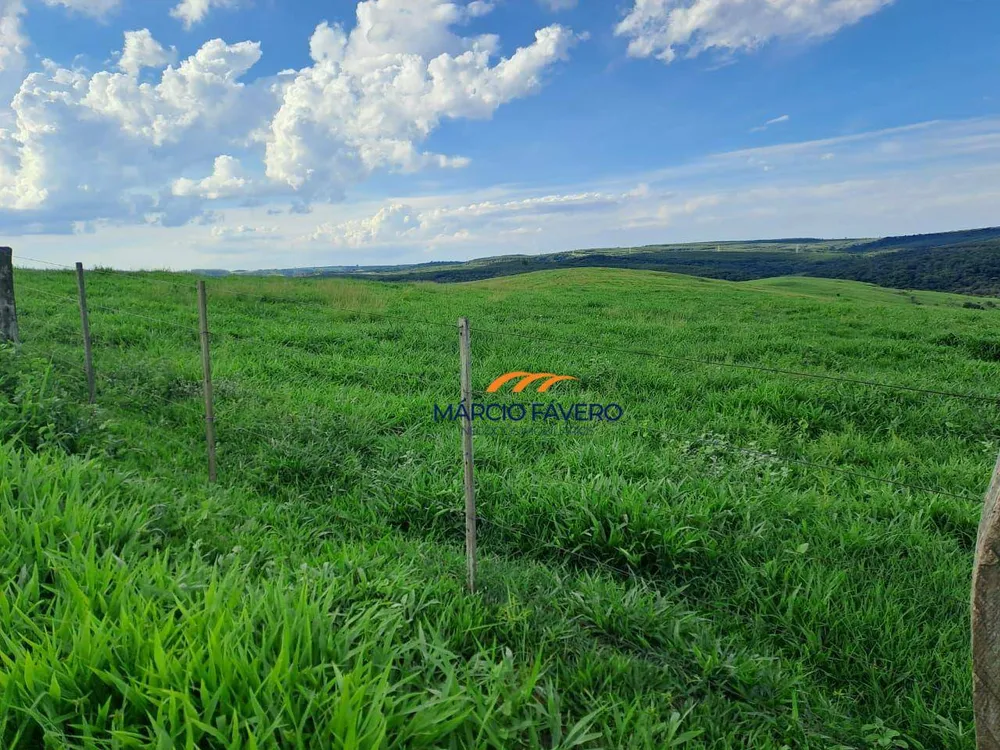 Fazenda, 571 hectares - Foto 6