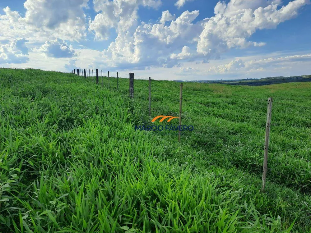 Fazenda, 571 hectares - Foto 9