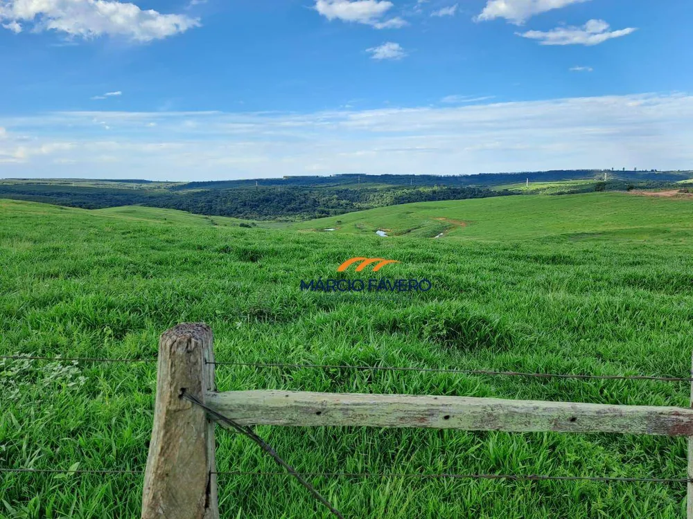Fazenda, 571 hectares - Foto 7